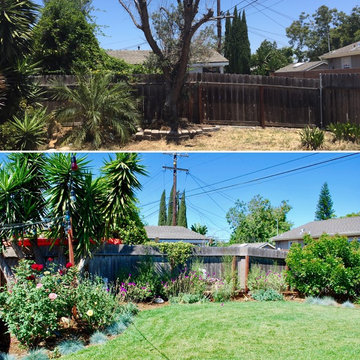 Patio and Landscape Design in North Park, SD