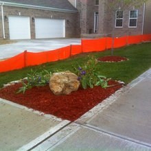 Landscaping ideas