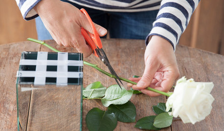 DIY : Upcyclez votre bouquet de roses pour en profiter plus longtemps
