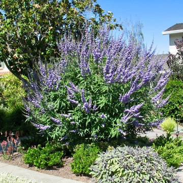 From Weeds to Welcome Home!