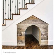 jennifer_traub's ideas