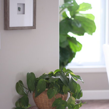 Styling Project-modern country