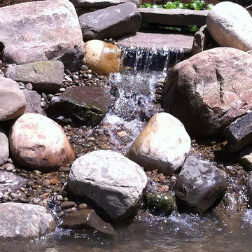 Ponds and Streams