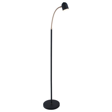 Tiara LED Floor Lamp, Black & Antique Brass