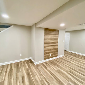 Modern Basement Remodel
