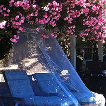 mosquito netting