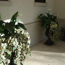 Front Porch Entry