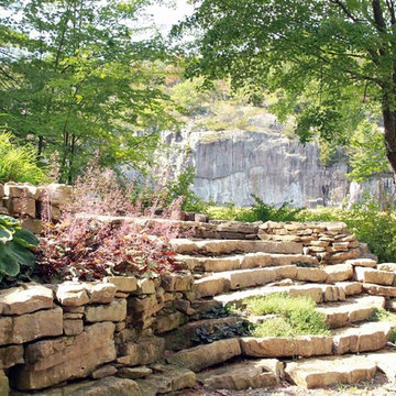 Naturalized Forest Setting