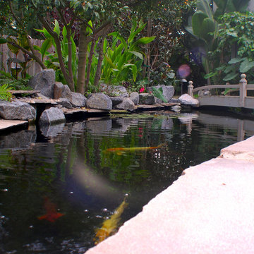 KOI Pond