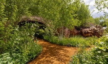 10 Inspiring Landscape Trends From the 2026 Chelsea Flower Show