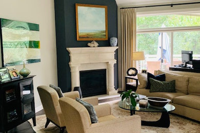 Transitional living room photo in Minneapolis