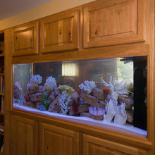 Fish Tank