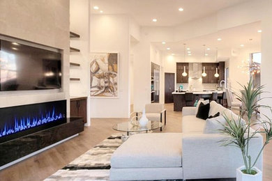 Inspiration for a contemporary living room remodel in Phoenix