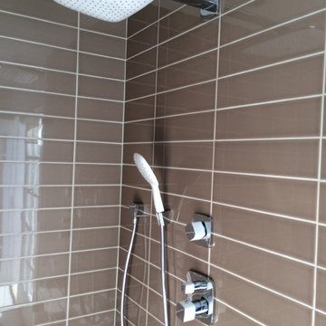 Contemporary P.V. Remodel