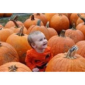Kaelyn Rowe's photo