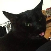 Patsy Hodges's photo