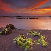 Carlos David's photo