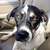 Scott Taylor's photo