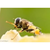 Bryan Geer's photo