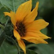 Foto von Beverly Spooner