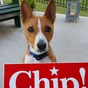 Dawn Jacobson LaMarca's photo