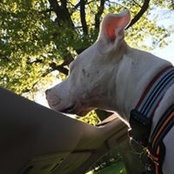 Todd Hall's photo