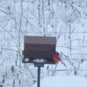 Malinda Johnson Measner's photo