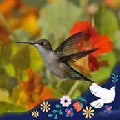 Rick Pfanku's photo