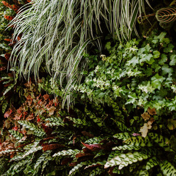 Coronado Cays Plant Wall