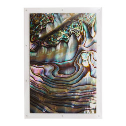 ABALONE WALL ART - NEW - Products