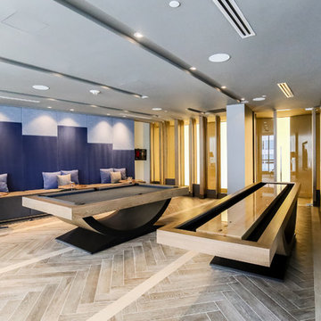 Contemporary Pool Table and Shuffleboard Tables (Theseus)