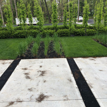 Lakewood modern
