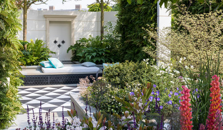 Garden Tour: A Small London Plot is a Calm and Peaceful Haven
