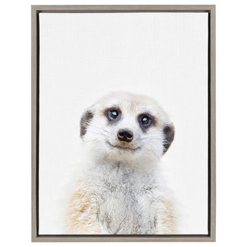 Sylvie Baby Meerkat Animal Print Framed Canvas Art by Amy Peterson, 18x24
