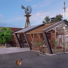 Chicken Coop