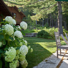 Exteriors and landscape