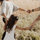 tanya_mayar