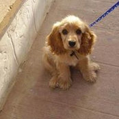 Mira Mounir's photo