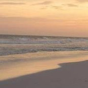 Jessica Chappell's photo