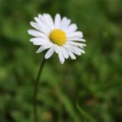 Barb Cassidy's photo