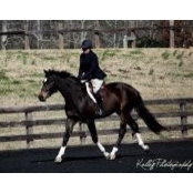 Mimi Hardie's photo