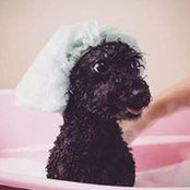 Summer Zhou's photo