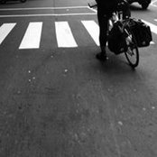 Franz Lew's photo