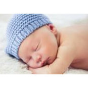 Michi Sekol's photo