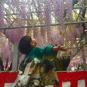 Foto von 陳便當