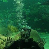 Kristopher Armstrong's photo