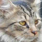 Margaret Marcinik's photo