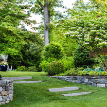Backyard project
