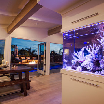 Saltwater Aquarium