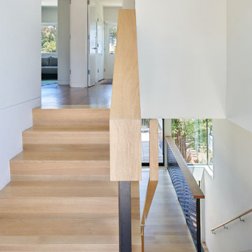 Pinales House